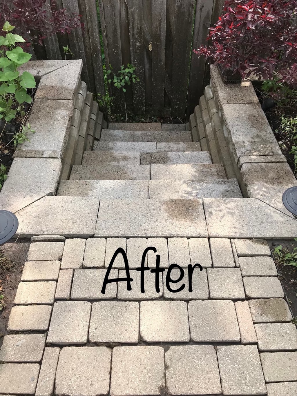 Gorilla Property Services | 40 Forest Creek Dr, Stittsville, ON K2S 1M2, Canada | Phone: (343) 430-0131