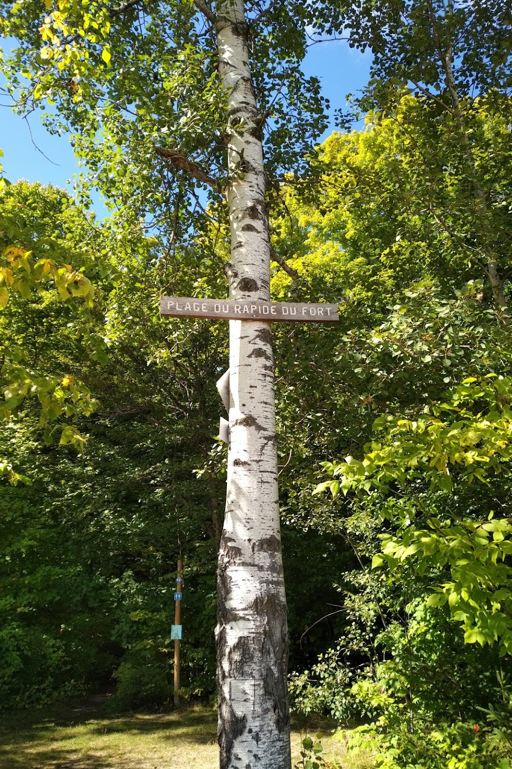 Site De La Plage/Beach - Poisson Blanc - Secteur Rapide Du Fort | 24 Chem. du Rapide du Fort, Antoine-Labelle, QC J0W 1S0, Canada | Phone: (866) 707-2999