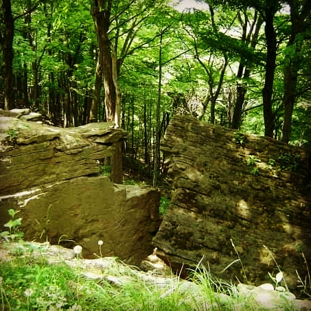 Woodend Conservation Area | 1 Taylor Rd, St. Catharines, ON L2V 3Y5, Canada | Phone: (905) 788-3135