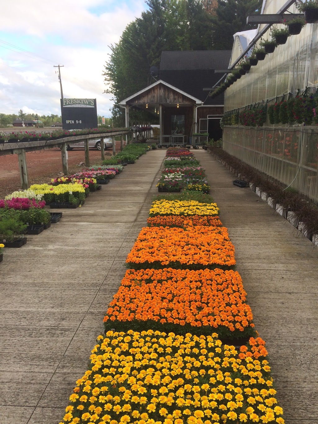 Freskiw Farms Muskoka | 1789 Highway 11 South, Kilworthy, ON P0E 1G0, Canada | Phone: (705) 689-3994