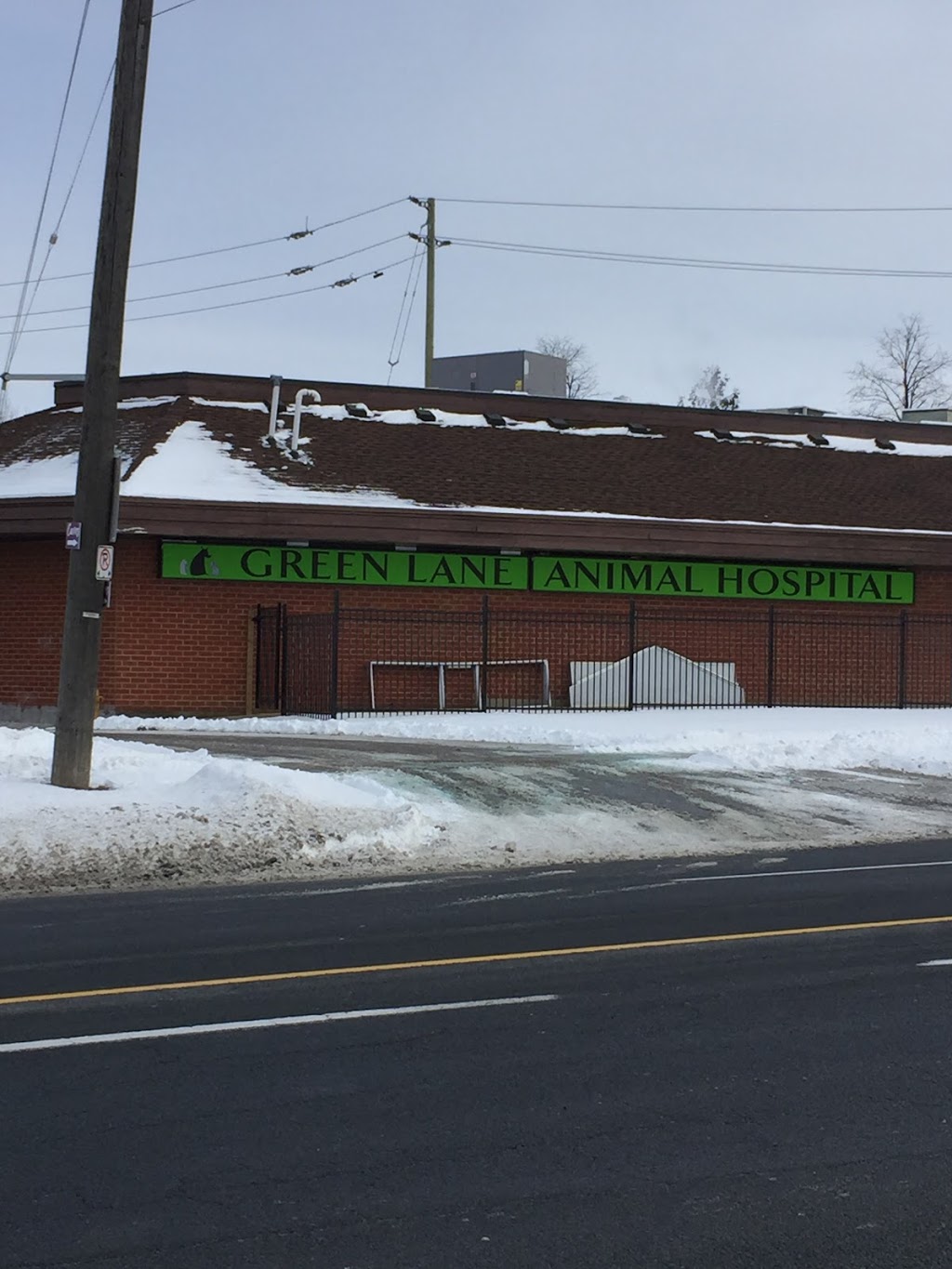 Green Lane Animal Hospital | 392 John St, Thornhill, ON L3T 5W6, Canada | Phone: (905) 597-7373