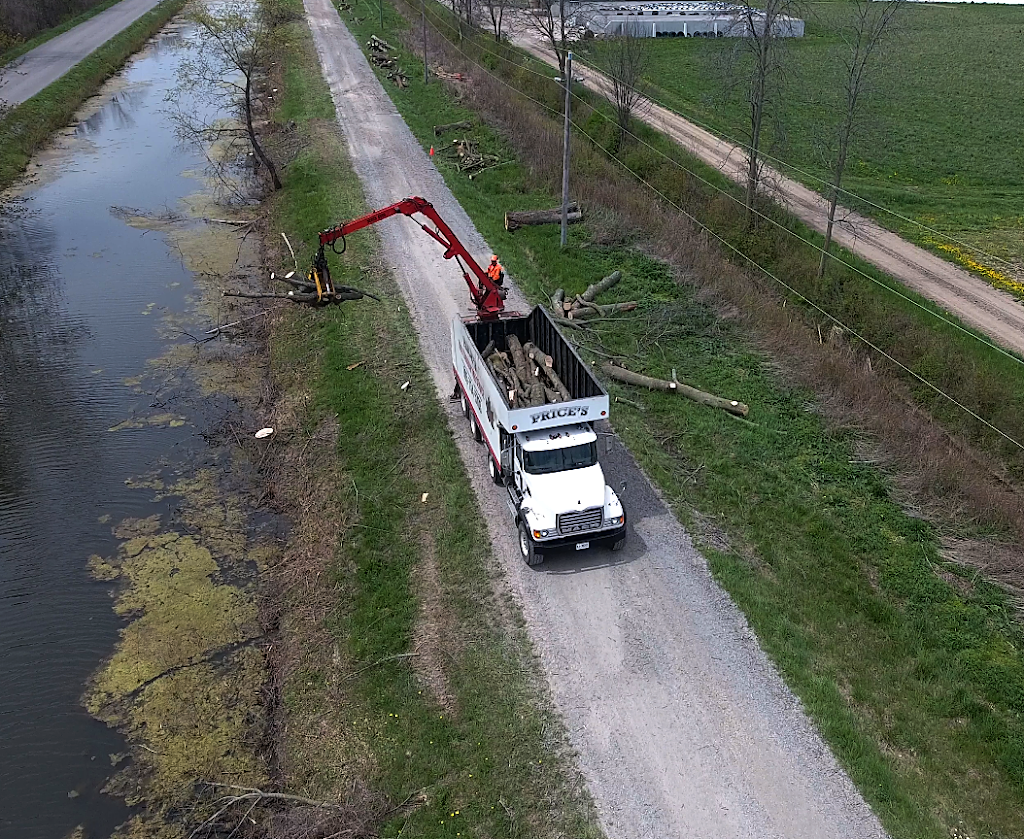 Truly Canadian Tree Service | 12274 Brawn Rd, Wainfleet, ON L0S 1V0, Canada | Phone: (905) 734-5703