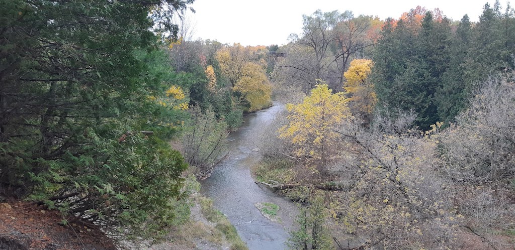 WSC Survival School Inc. & Kargus Lakes Retreat | 1005 Marble Lake Rd, Cloyne, ON K0H 1K0, Canada | Phone: (905) 435-7305
