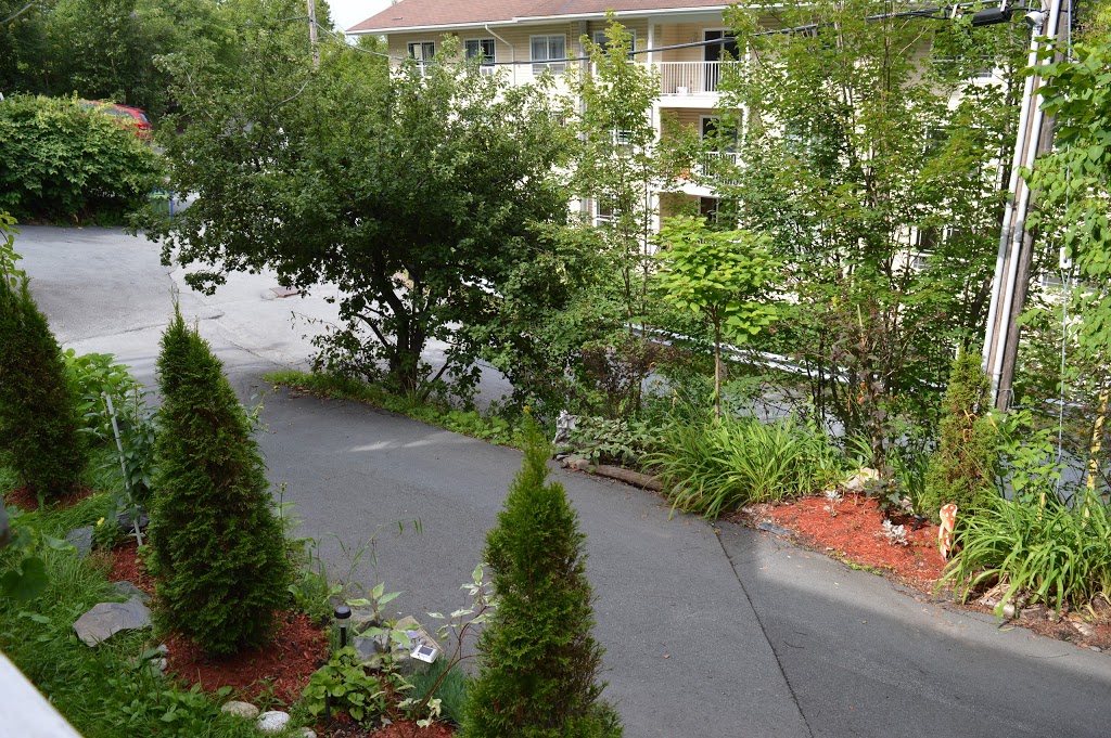 Ascendence Harbourside Mansion B&B | 24 Northumberland Ln, Halifax, NS B3M 1R7, Canada | Phone: (877) 405-1530