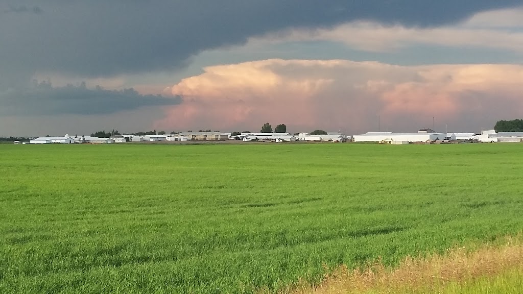 Holden Hutterite Colony | 49212 Rng Rd, Holden, AB T0B 2C0, Canada | Phone: (780) 385-8300