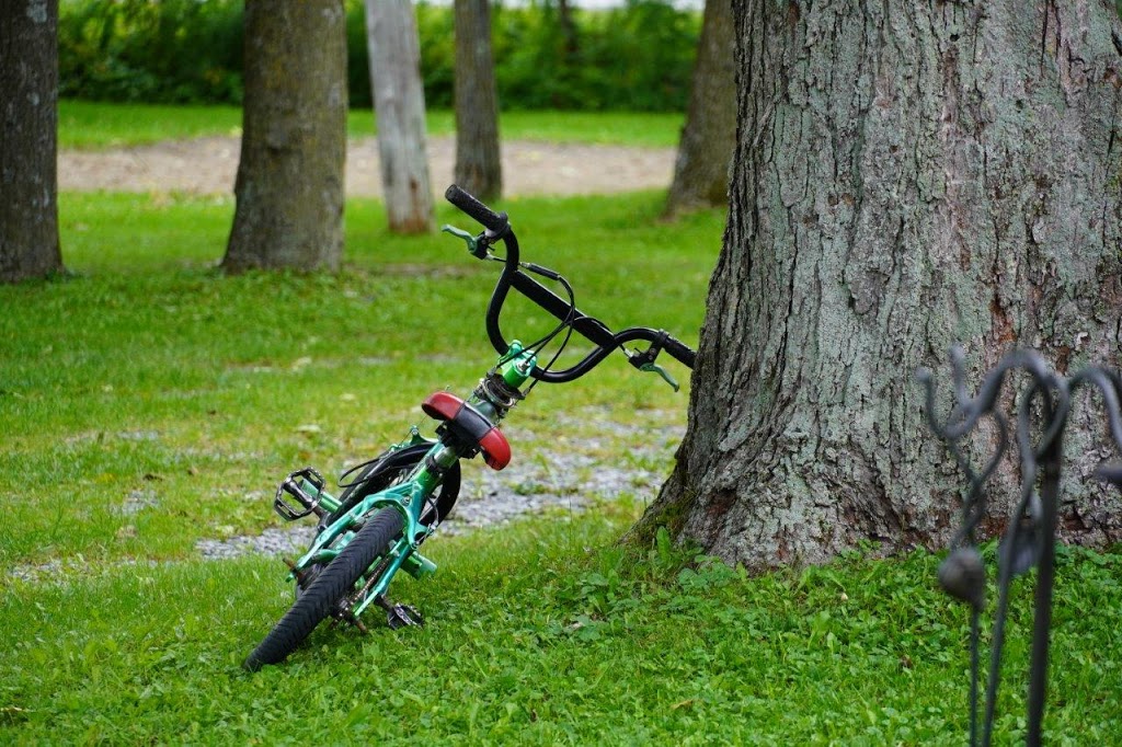 Camping Du Vieux Foyer | 105 Chemin de Saint-Dominique, Saint-Pie, QC J0H 1W0, Canada | Phone: (450) 772-5177
