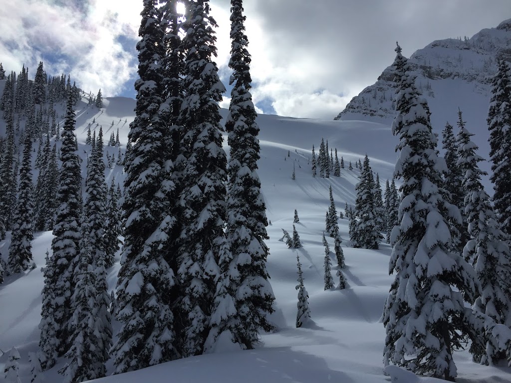 Mountain Addicts - Guiding and Instruction | 104-51 Ridgemont Dr, Fernie, BC V0B 1M2, Canada | Phone: (250) 531-0618