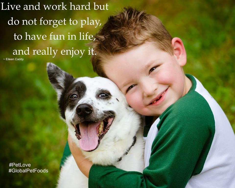 Global Pet Foods | 575 Thornton Rd N, Oshawa, ON L1J 8L5, Canada | Phone: (905) 723-5428