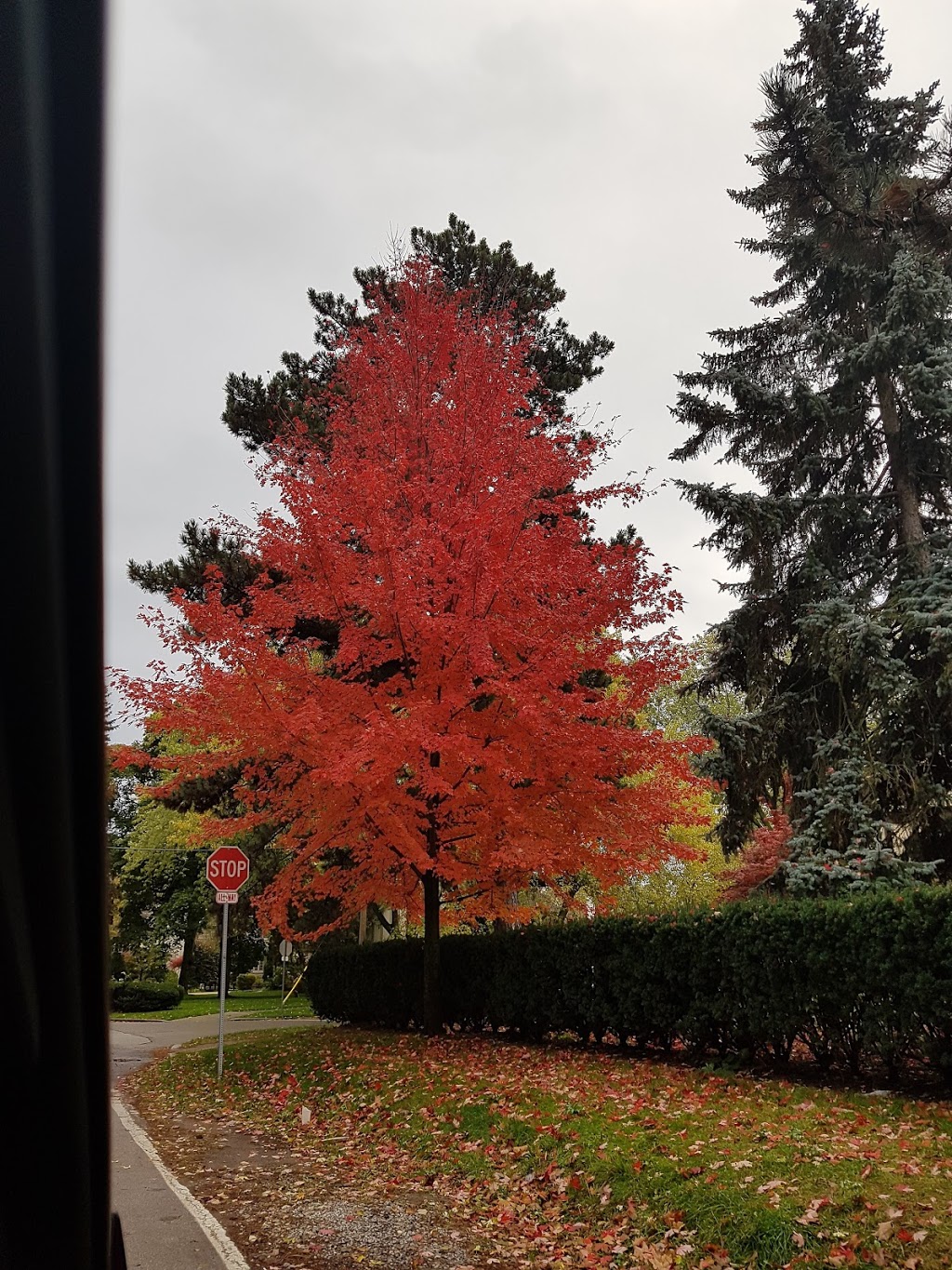 Lora Hill Park | 36 Fernalroy Blvd, Etobicoke, ON M8Z 3W1, Canada