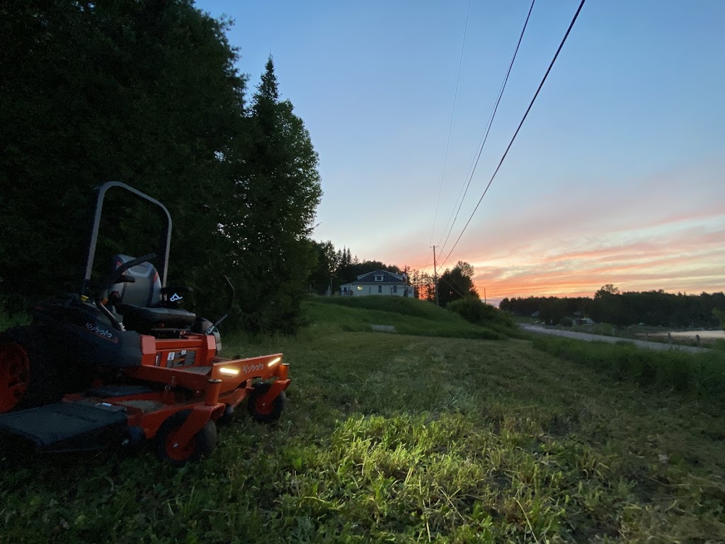 Lake Side Lawn Care & Handyman Services | 5601 Centennial Lake Rd, Griffith, ON K0J 2R0, Canada | Phone: (613) 355-6704
