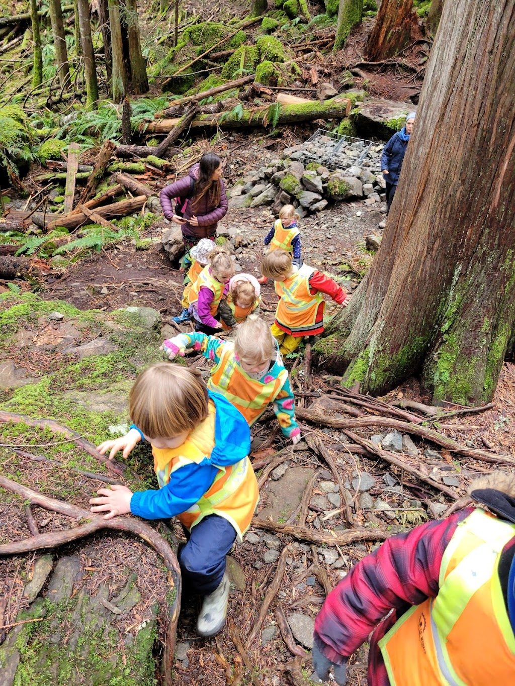Adventure Daycare | 2785 Mansfield Dr, Courtenay, BC V9N 2M2, Canada | Phone: (250) 871-2424