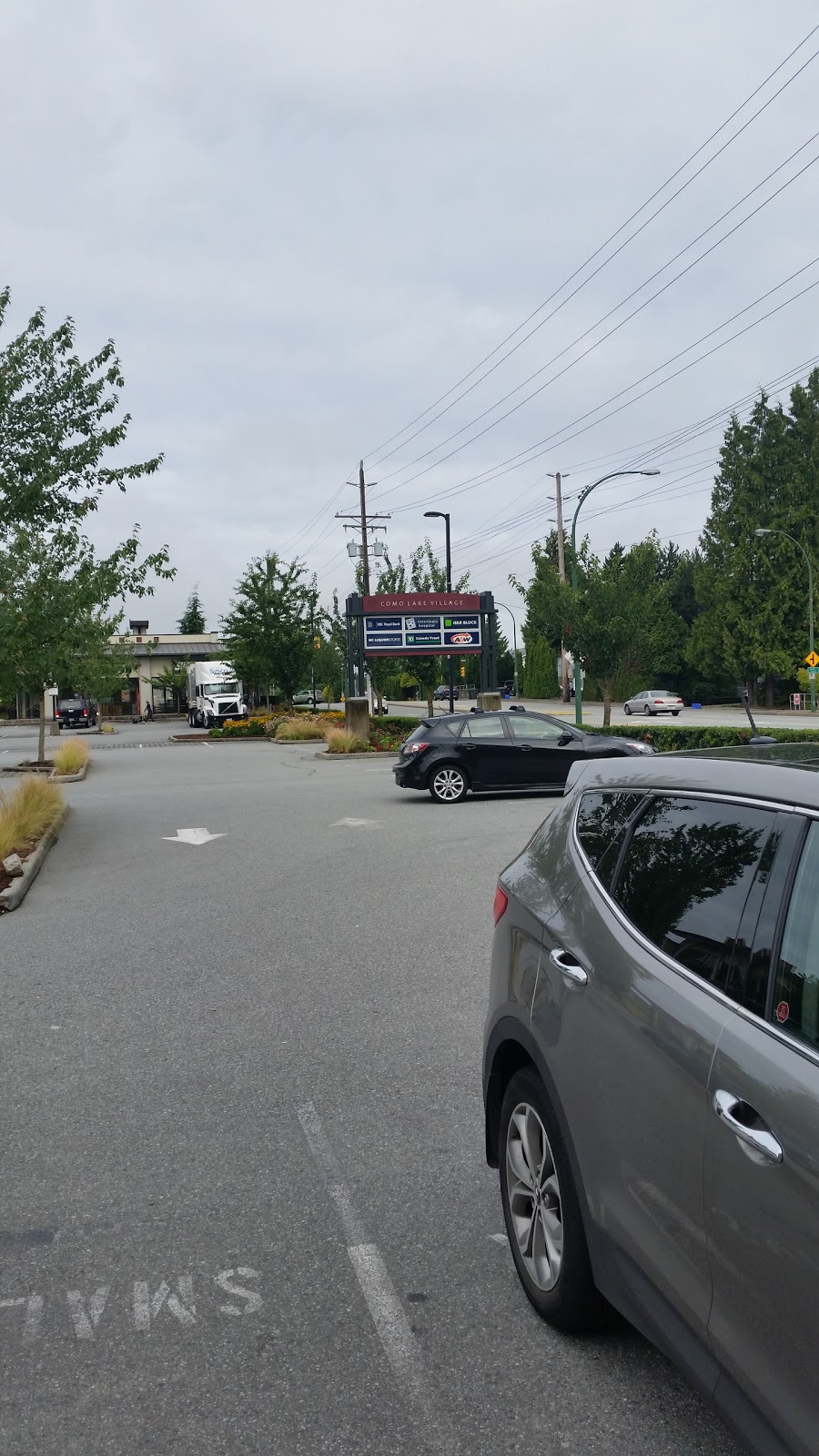 VCA Canada Como Lake Animal Hospital | 1960 Como Lake Ave #156, Coquitlam, BC V3J 3R3, Canada | Phone: (604) 931-7760