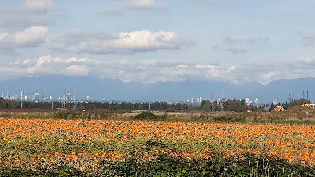 East Delta Community Hall | 10379 Ladner Trunk Rd, Delta, BC V4G 1K2, Canada | Phone: (604) 543-2830