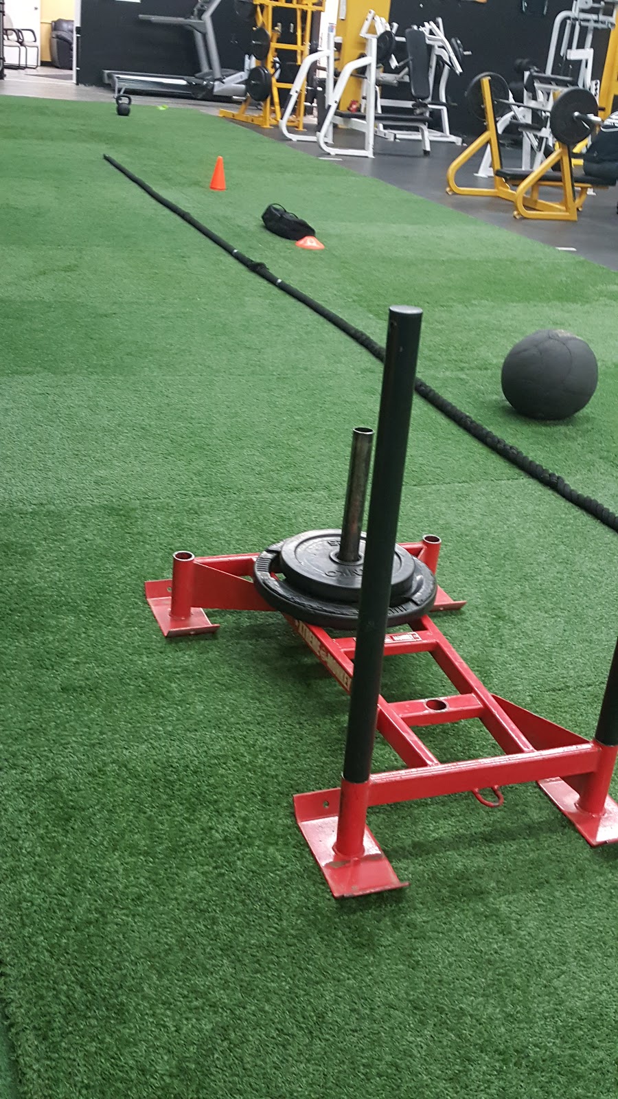 Shed Fitness And Conditioning | 1420 Bayly St #11, Pickering, ON L1W 3R2, Canada | Phone: (905) 492-7433