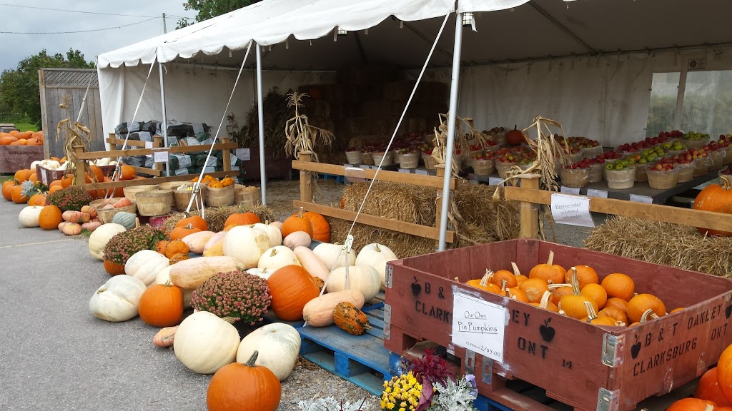 Goldsmiths Orchard Market | 207600 ON-26, Thornbury, ON N0H 2P0, Canada | Phone: (519) 599-3246