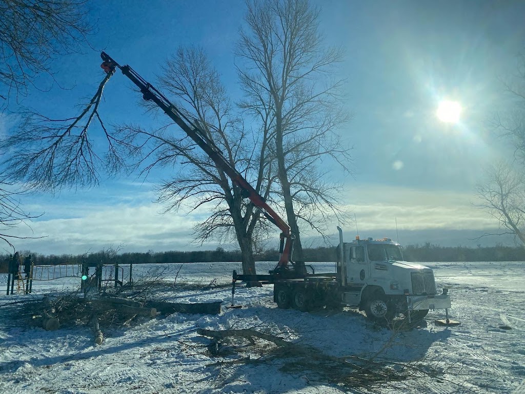 ASAP Tree & Stump Ltd | 130 Haarsma St, East Saint Paul, MB R2E 0M8, Canada | Phone: (204) 663-3889
