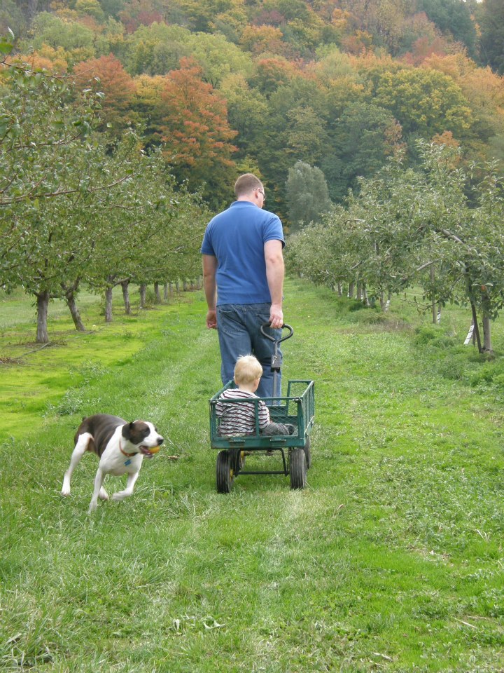 Windwood Farms | 4198 King St, Beamsville, ON L0R 1B1, Canada | Phone: (905) 401-0515