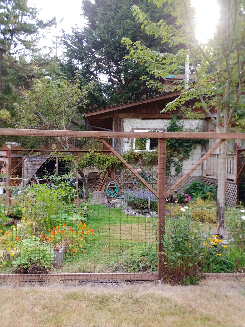 Red Fox Inn | 973 San Juan Dr, Friday Harbor, WA 98250, USA | Phone: (360) 317-1411