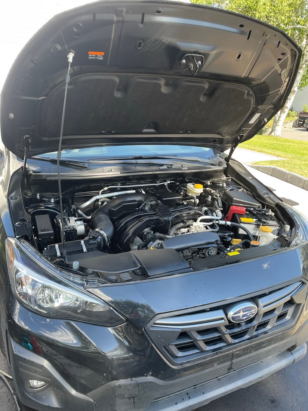 FP Detailing | 918 Rue Legault, Greenfield Park, QC J4V 3C4, Canada | Phone: (514) 746-5123