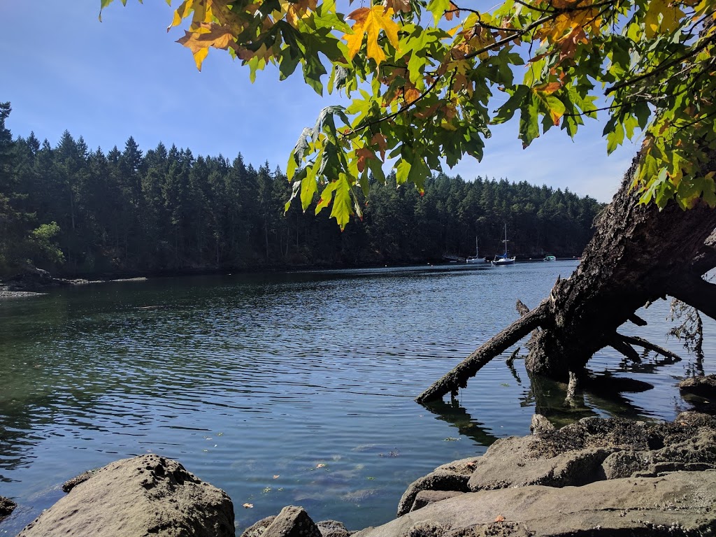 Driftwood Village | 205 Bluff Rd, Galiano Island, BC V0N 1P0, Canada | Phone: (250) 539-5457