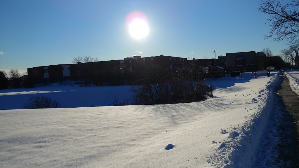 St. Aidan Catholic School | 3521 Finch Ave E, Scarborough, ON M1W 2S2, Canada | Phone: (416) 393-5350