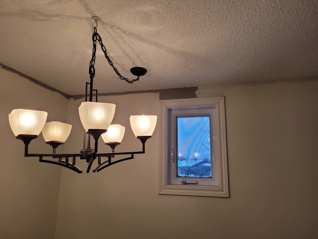 Naim painting service | 2175 Orient Park Dr, Gloucester, ON K1B 4W1, Canada | Phone: (613) 261-2850