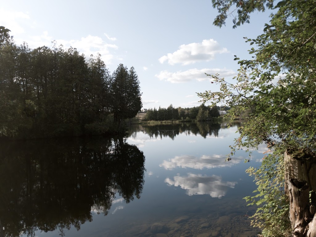 Trent-Severn Waterway, Lock 24 - Douro | County Road 32, Douro-Dummer, ON K0L, Canada | Phone: (705) 750-4957