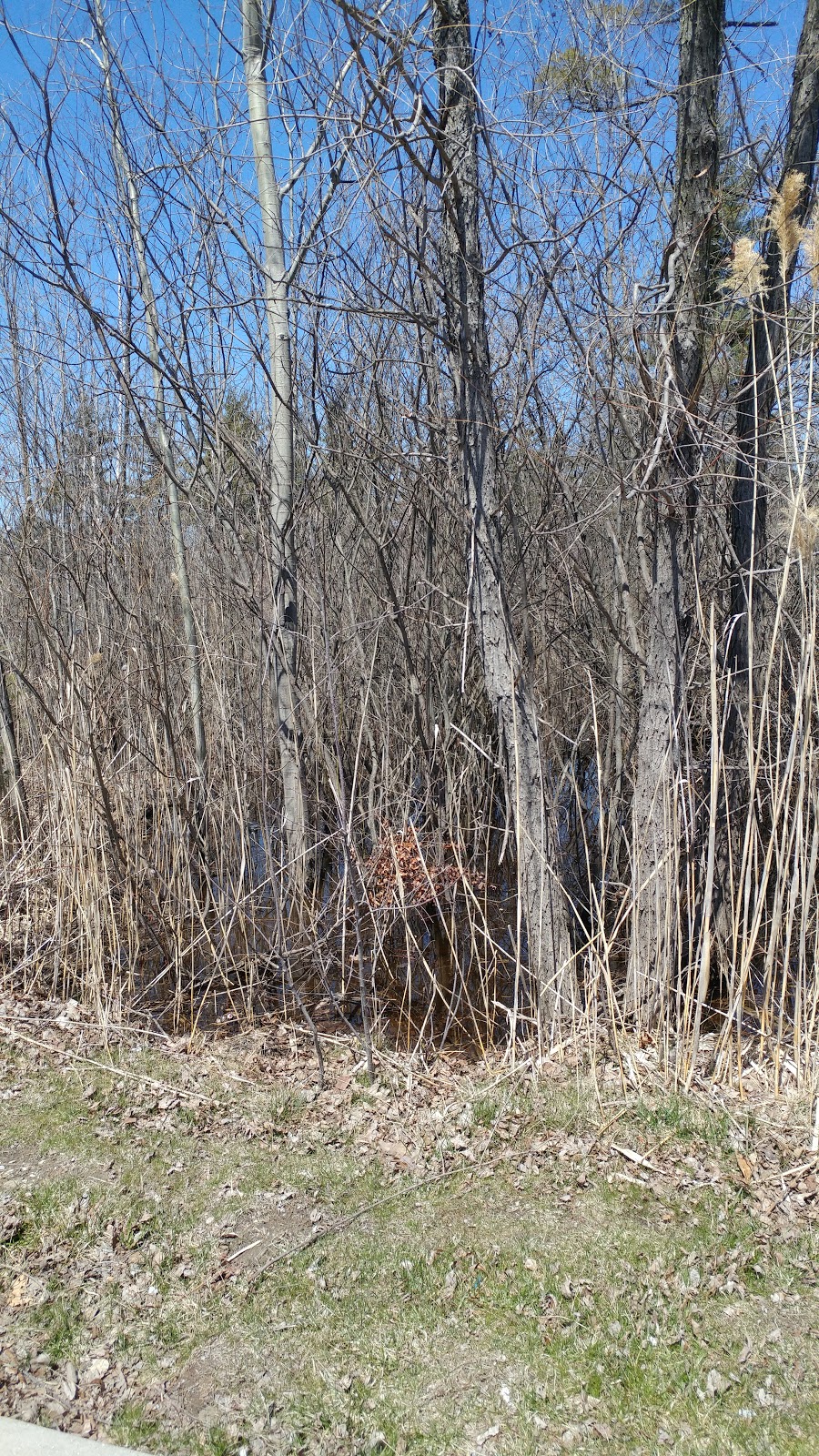 Wadhams To Avoca Trail Parking Lot | Smiths Creek, MI 48074, USA