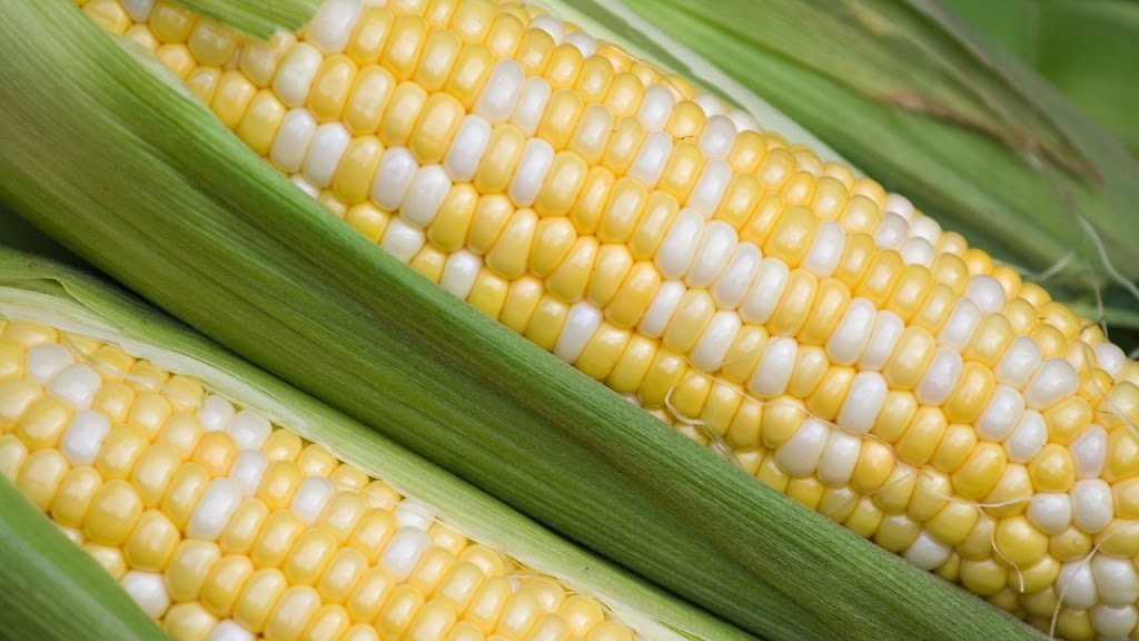 R & A Harris Farm Produce | 394 St Charles St E, Breslau, ON N0B 1M0, Canada | Phone: (519) 648-3364