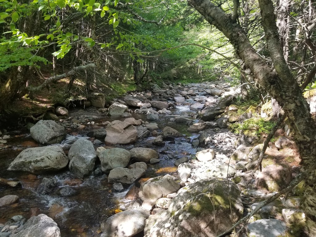 Long Beach Brook Falls Trailhead | Fundy Trail Pkwy, Saint Martins Parish, NB E5R, Canada | Phone: (866) 386-3987