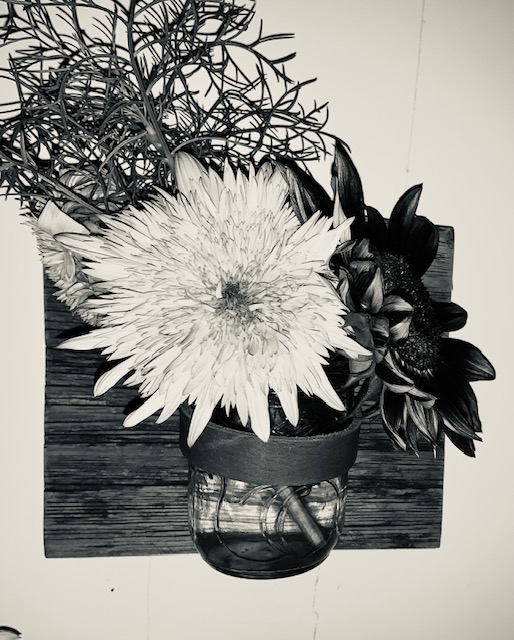 Blooms Away Farm | 6045 10 Line, Erin, ON N0B 1T0, Canada | Phone: (519) 938-0352