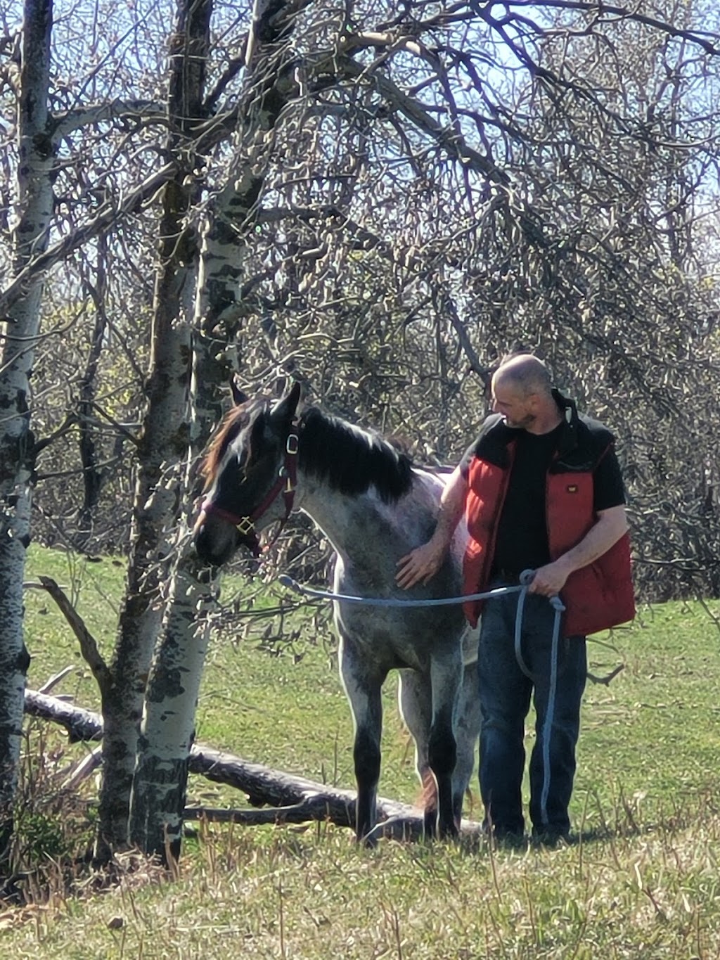 Sandridge Stables | 22335 Township Rd 520, Sherwood Park, AB T8C 1E2, Canada | Phone: (780) 922-7383