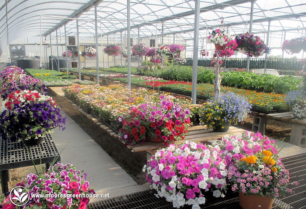 Moores Greenhouse | 243003 Range Road 240, Wheatland County, AB T1P 2C2, Canada | Phone: (403) 934-4885