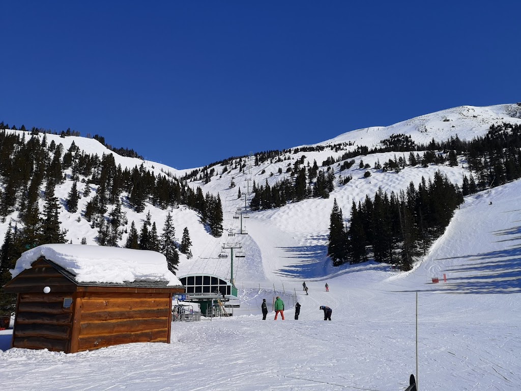 Lake Louise Ski Resort & Summer Gondola | 1 Whitehorn Rd, Lake Louise, AB T0L 1E0, Canada | Phone: (403) 522-3555