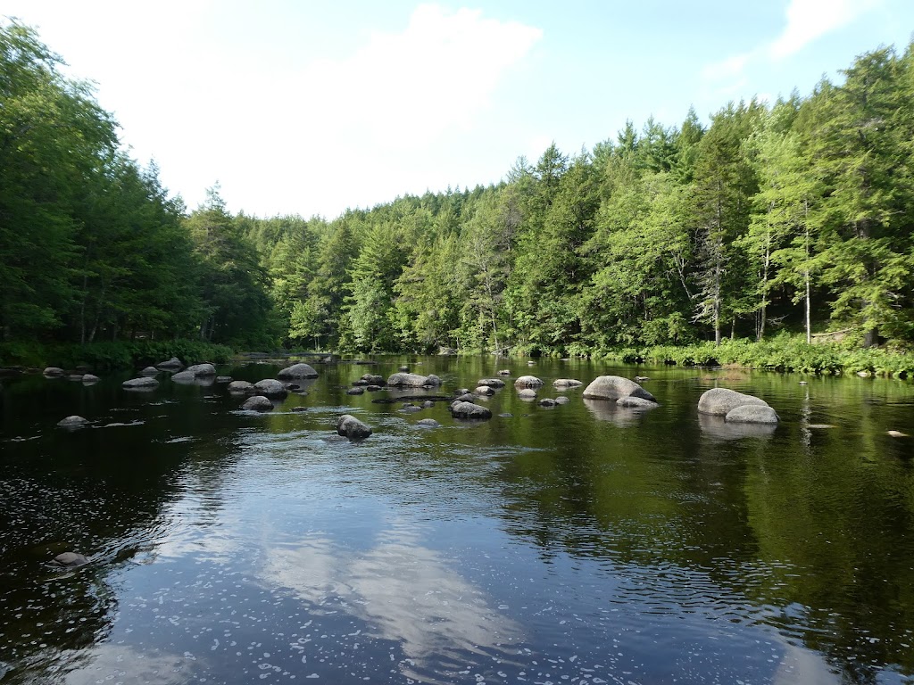 B&B Art of Germany | Region of Queens Municipality, NS B0T 1B0, Canada | Phone: (902) 682-2114
