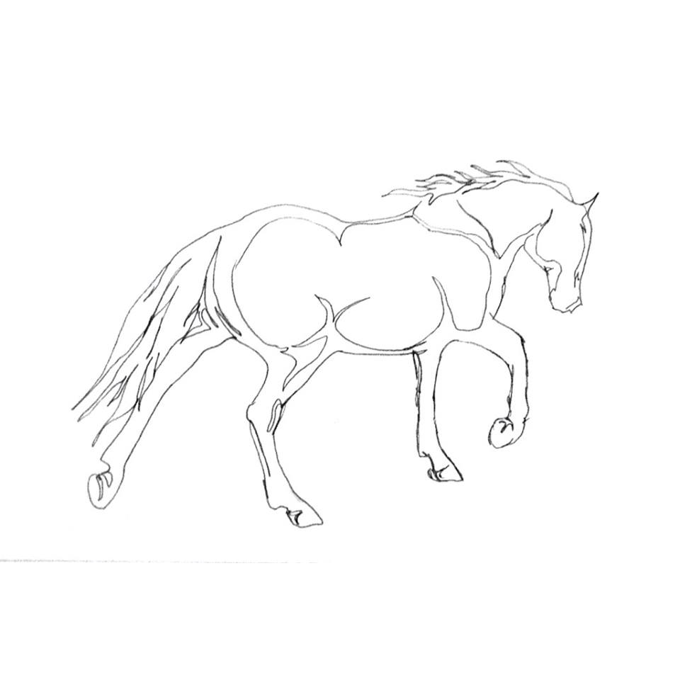 Cornerstone Equine | 6594 Shelter Point Rd, Gillies Bay, BC V0N 1W0, Canada | Phone: (778) 242-9864