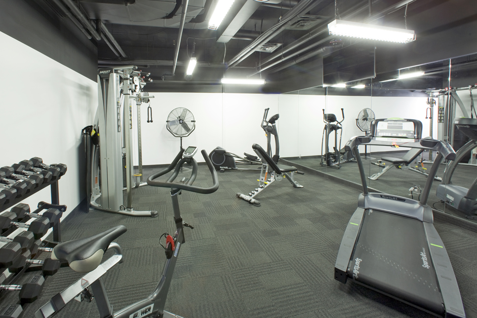 BeachHill Apartments | 763 Woodbine Ave, Toronto, ON M4E 2J4, Canada | Phone: (647) 351-1244