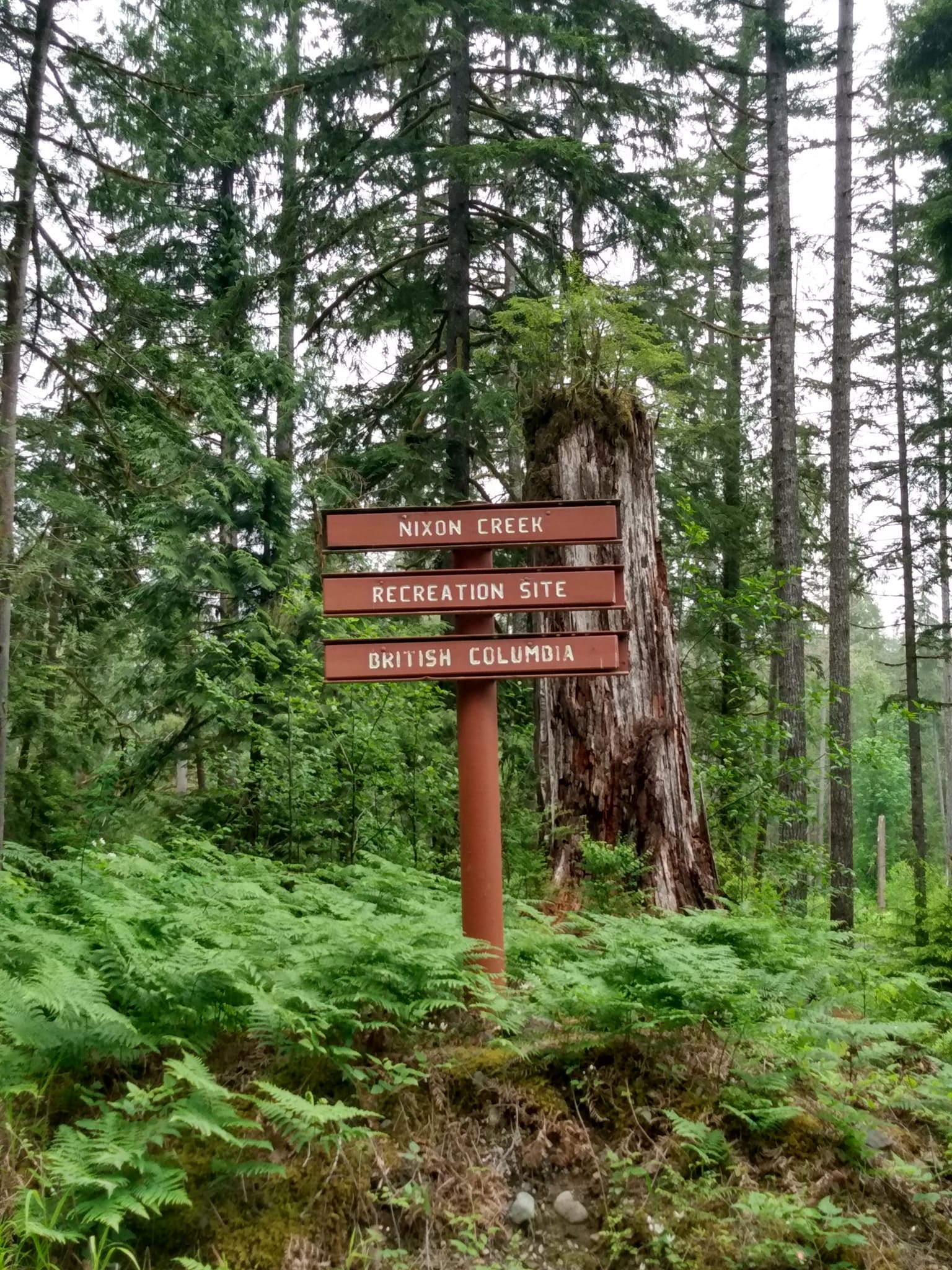 Nixon Creek Recreational Site | 3E1, S Shore Rd, Youbou, BC V0R 3E1, Canada | Phone: (250) 709-5761