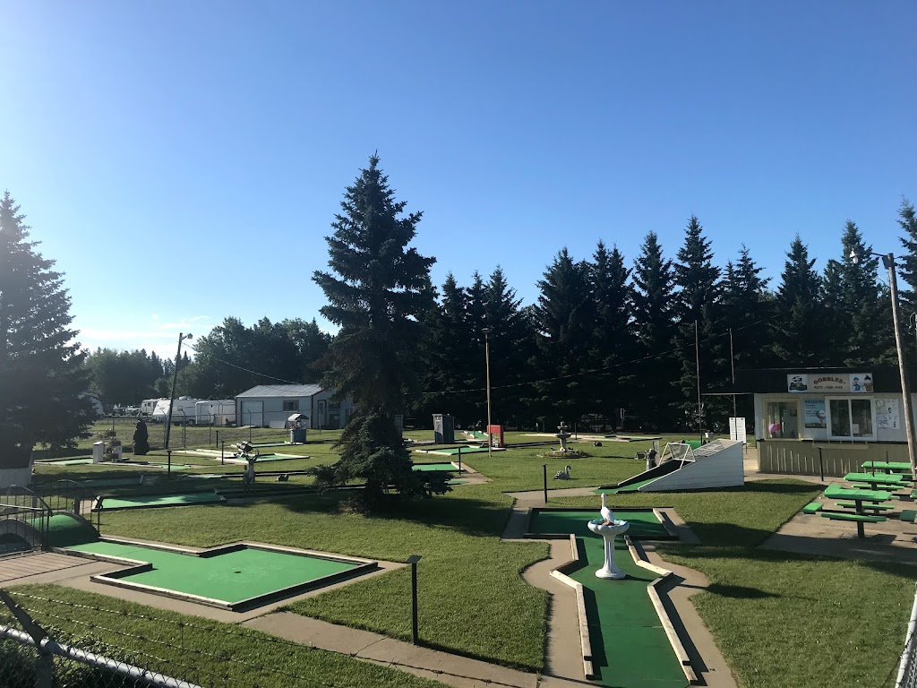 Gobbles Putt For Par | 104 Carl Erickson Ave, Shell Lake, SK S0J 2G0, Canada | Phone: (306) 270-7310