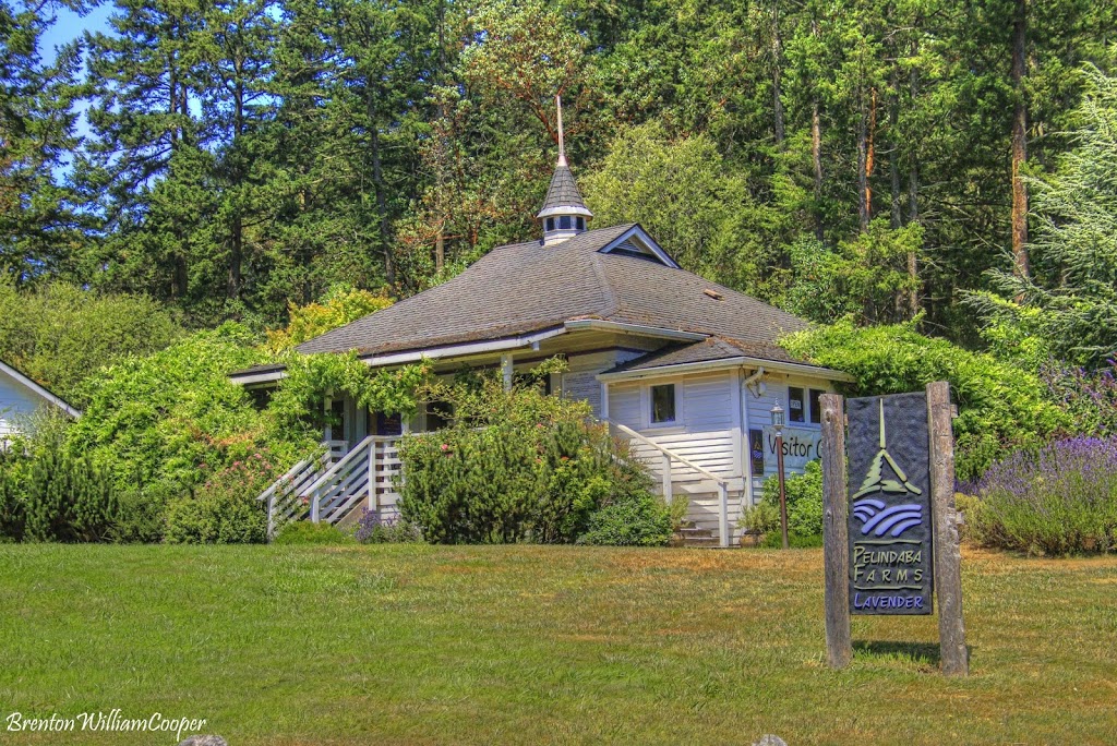 Pelindaba Lavender Farm | 45 Hawthorne Ln, Friday Harbor, WA 98250, USA | Phone: (360) 378-4248