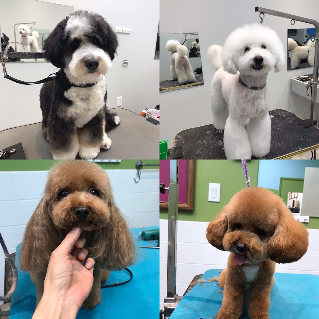 Fluffy Spa | 328 York Regional Rd 7 #3, Richmond Hill, ON L4B 3P7, Canada | Phone: (905) 709-9908