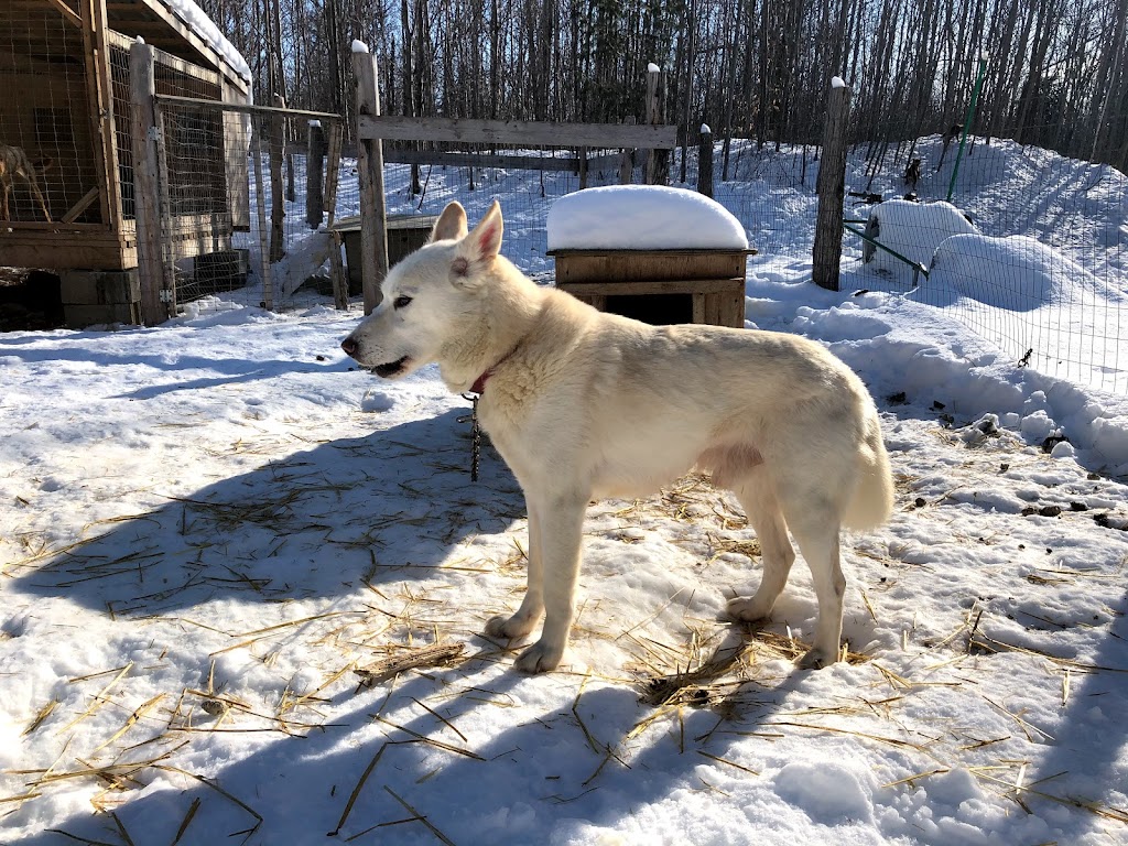 Laforce Expédition | 189 Rang du Cavreau, Lanoraie, QC J0K 1E0, Canada | Phone: (450) 917-1248