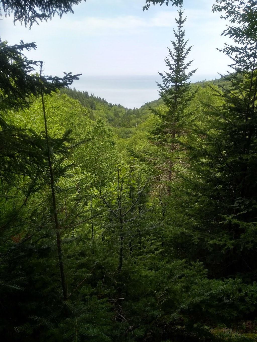 Bradshaw Lookout Trailhead | Saint Martins Parish, NB E5R 1M3, Canada | Phone: (866) 386-3987
