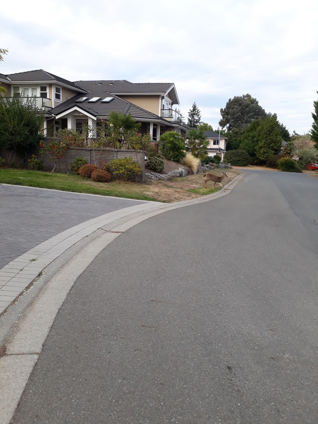 King Alfred Park | 4408-, 4410 King Alfred Ct, Victoria, BC V8N 6E4, Canada