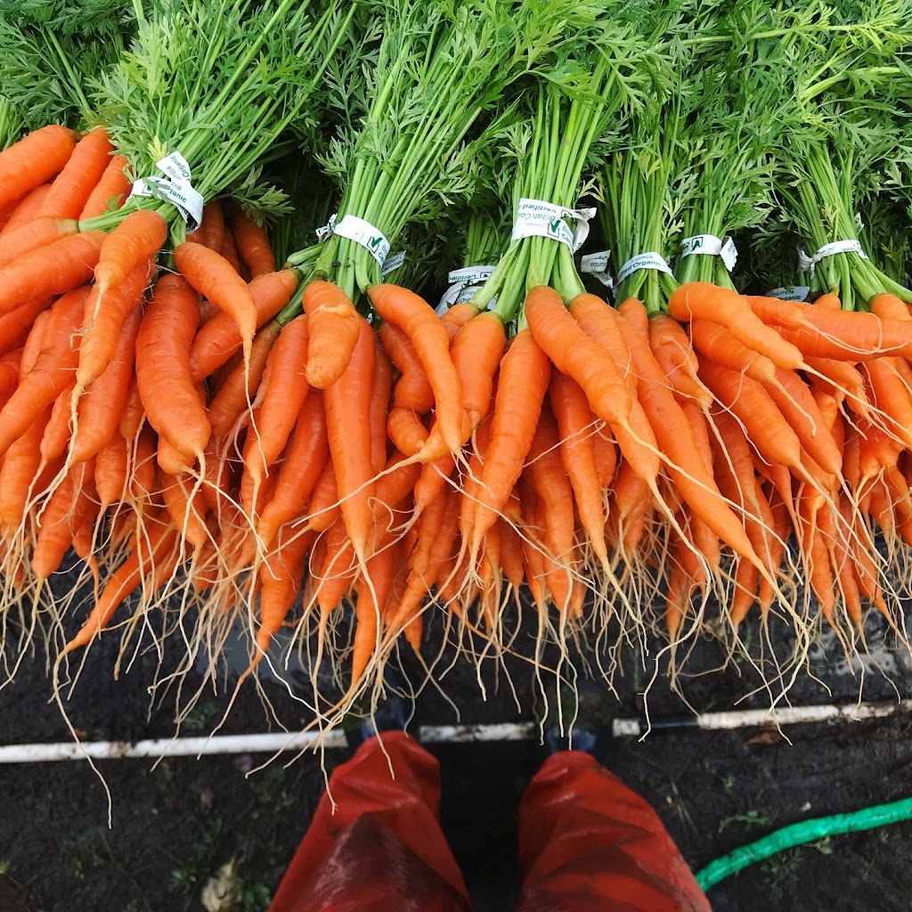Tendergreens Farm | 3553 Milman Rd, Courtenay, BC V9J 1N8, Canada | Phone: (250) 896-4981