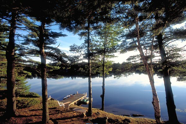 Clear Water Property Management | 1027 Juddhaven Rd, Minett, ON P0B 1G0, Canada | Phone: (705) 999-9162