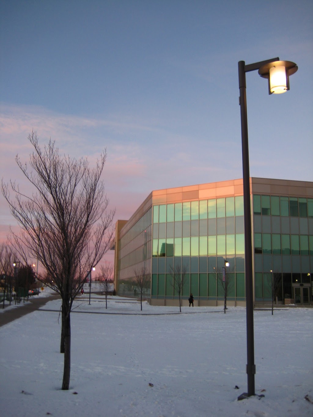 Bissett School of Business | 4825 Mt Royal Cir SW, Calgary, AB T3E 6K6, Canada | Phone: (403) 440-6833