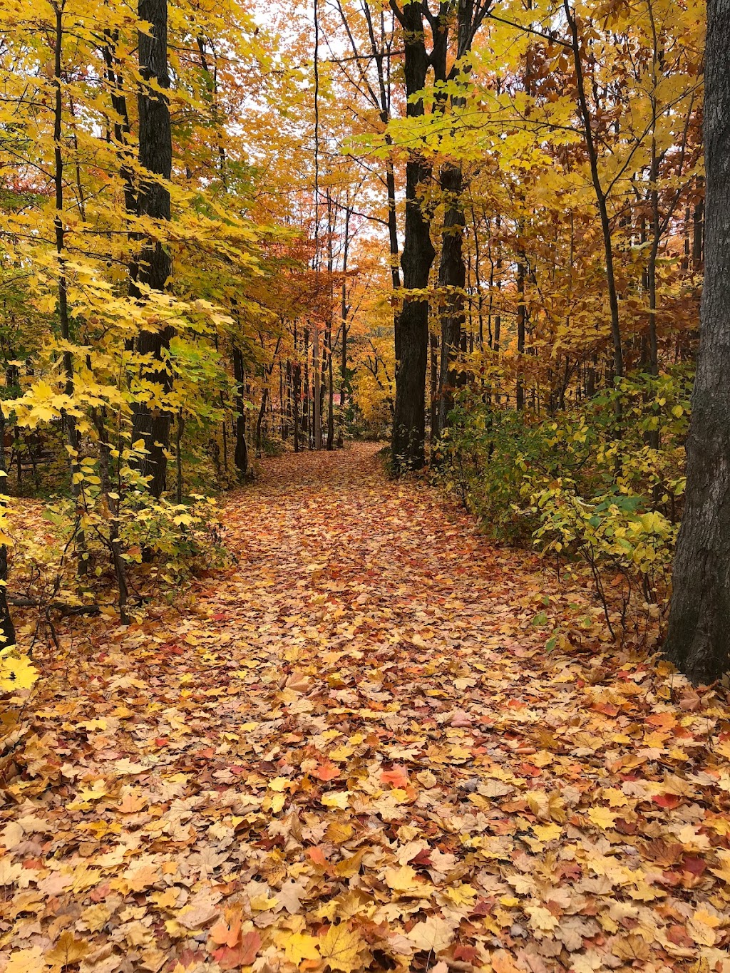 Camping Lac St-Augustin | 155 Chem. du Lac, Saint-Augustin-de-Desmaures, QC G3A 1W7, Canada | Phone: (418) 871-9090
