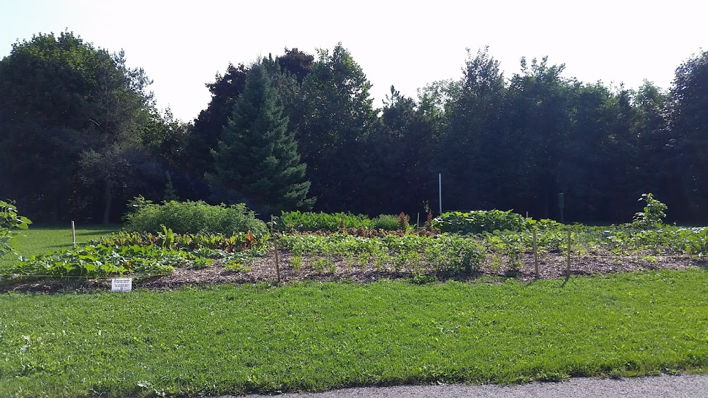 Sussex Park | Richmond Hill, ON L4C 2N4, Canada