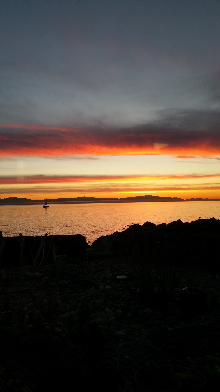 Port Stalashen Marina | 1585 Field Rd, Sechelt, BC V0N 3A1, Canada | Phone: (604) 838-8263